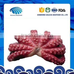 Frozen Cooked Octopus Flower With Faster Delivery From Manufacturer thumbnail-1