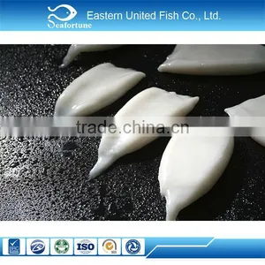 Chinese Sea Frozen Squid Calamari Tube thumbnail-1