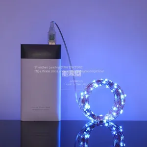 USB 5 Meter 50 Lights 10 Meter 100 Lights Colorful Munti Color Choosing Customized Copper String Fairy Firefly Light thumbnail-2