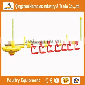 Heracles Design Complete Poultry Equipment for Broiler and Breeders thumbnail-3