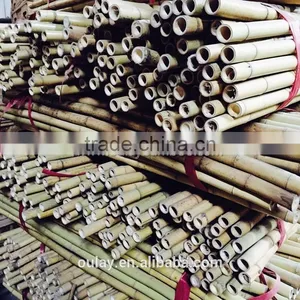 24~26MM 240CM Tonkin Bamboo Stakes For Orchard thumbnail-1