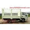Store-stake Truck(BJ5032V3BA3-2) thumbnail-1