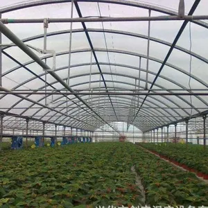Multispan Double-Layer Air Inflated Plastic Film Greenhouse thumbnail-1