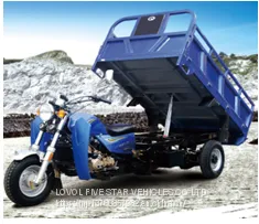 Gasoline Tricycle Cargo Loader Lovol Three Wheeler Mali Ethiopia Ghana Bukina Faso Tanzania Kenya Senegal Togo Benin Nigeira Mauritania Angola Burundi Chad Cameroon C ô te D'Ivoire Gabon Guinea Mozambique Rwanda Congo Uganda Zimbabwe thumbnail-1