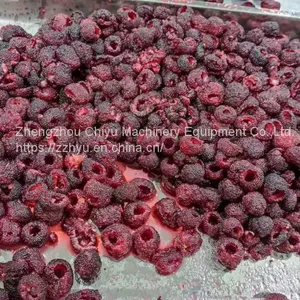 High Efficiency Automatic Fruit Pitting Machine Cherry Pitter Olive Pitter Machine for Fruit Processing Plants thumbnail-3