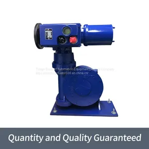 Bernard Multi-turn Electric Actuators SKD800 / FYT Intelligent Gate Device thumbnail-3
