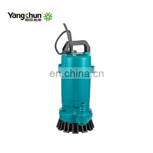 Mini Submerged Electric Submersible Clean Water Pump With Float Switch thumbnail-2