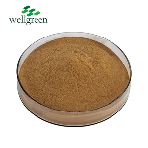 Mint Extract Natural Peppermint Extract Powder Menthol 99% Peppermint Extract thumbnail-2