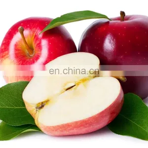 Industrial Cashew Apple Juicing Plant / Cashew Apple Juice Production Line thumbnail-1