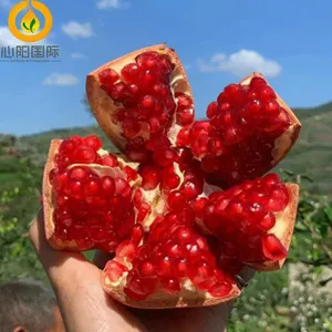 Premium Fresh Fruits: Pomegranate thumbnail-1