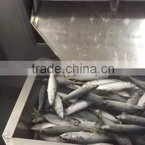 Canned Mackerel Manufacturers thumbnail-4
