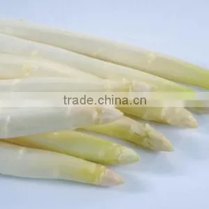 2016 Crop Chinese Frozen Iqf White Asparagus Center Cuts thumbnail-2