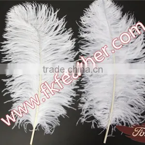 Large White Ostrich Feather Long 50cm-55cm Wedding And Stage Decorations thumbnail-4