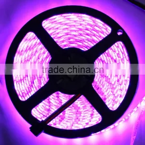 Fullbell Wholesale Rgb Led Strip 5v thumbnail-2