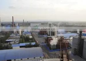 Henan Julong Biological Engineering Co., Ltd. company overview - view 3 thumbnail
