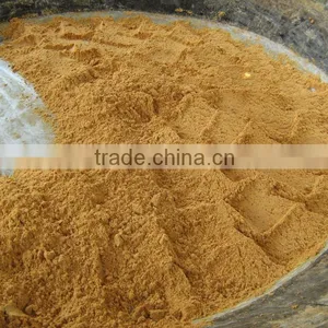 Sugar Exporters thumbnail-1
