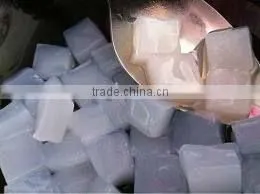 Nata de Coco thumbnail-1