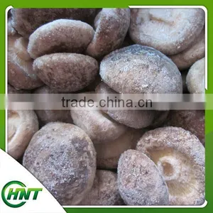 Frozen Shiitake Mushroom Iqf Shiitake Mushrooms thumbnail-1