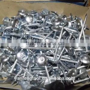Hot Sale Umbrella Head Roofing Nails From Direct Factory thumbnail-3