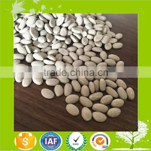 Plast Desiccant Masterbatch/Dry Agent thumbnail-4