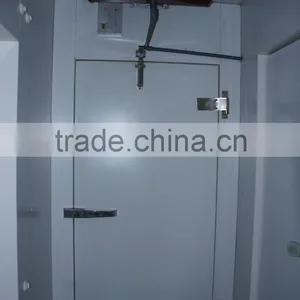 Cold Room Polyurethane Hinged Doors thumbnail-3