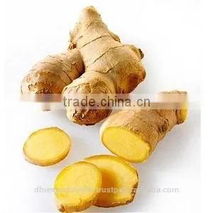 100% Ginger Oil thumbnail-1
