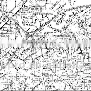 Newest America Digital Mapinfo Map thumbnail-1