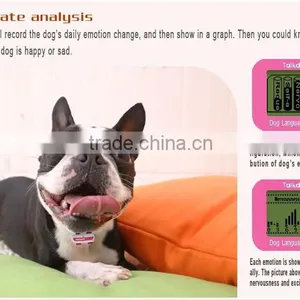Dog Whisperer thumbnail-1