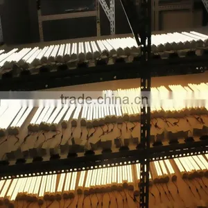 High Brightness 15w 4pin pl 2g11 Led Tube thumbnail-6