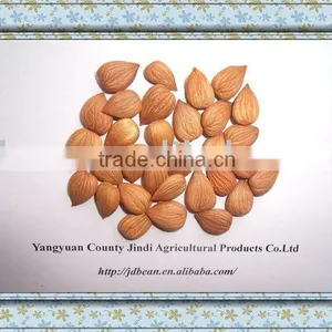 USED EXCLUSIVELY HPS Bitter Apricot Kernels(GF2) thumbnail-1