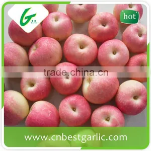 Chinese Grade A Fresh Royal Gala Apple thumbnail-5