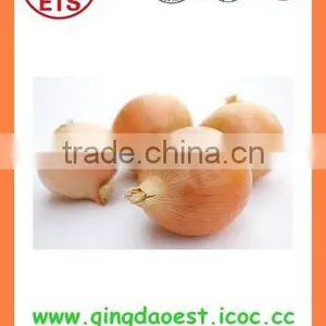 Export Best Quality Fresh Red Yellow White Onion thumbnail-3