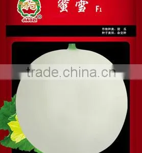 Hybrid F1 White Sweet Melon Seeds For Cultivation-Honey Snow F1 thumbnail-1
