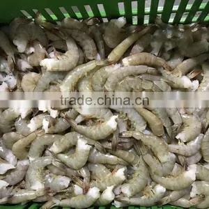 Hot Sale Seafoods Headless Vannamei Shrimp in Good Price thumbnail-2