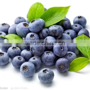 Industrial Stainless Steel BlueBerry Washing Machine/ Marine Washing Machine thumbnail-3
