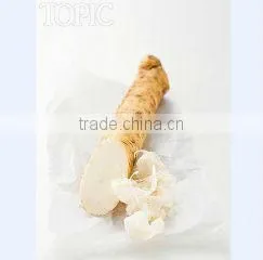 Horseradish Root thumbnail-1