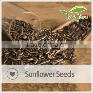 Sell Organic Chinese Sunflower Seeds Long Shape thumbnail-2