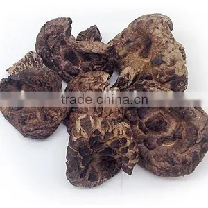 Dried Sarcodon Imbricatus Mushroom thumbnail-3