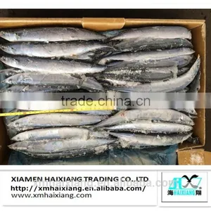 Frozen Whole IQF Tilapia Fish Farms in China thumbnail-6
