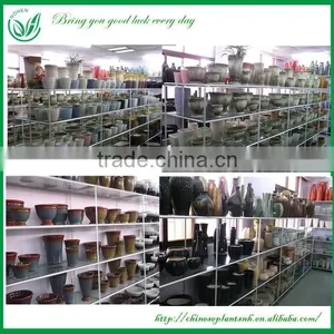 Cheap Flower Arrangements Pot thumbnail-5