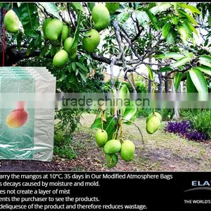 Dragon Fruit Bag thumbnail-4