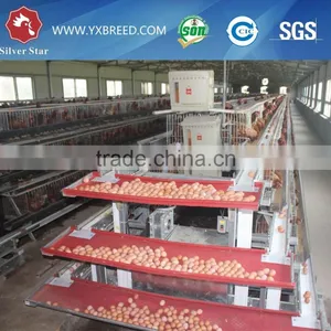 Poultry Battery Cages for Sale thumbnail-2
