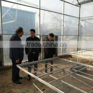 Low Cost Movable Greenhouse Bench Plastic for Agriculture thumbnail-5