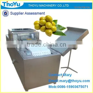 Olive Kernel Separating /Remover/ Seed Extracting Machine/ Separator/ Separating Machine(SMS: 0086-15903675071) thumbnail-1