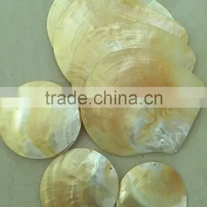 Polished Mop Whitelip Shell thumbnail-1