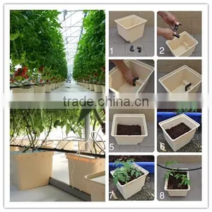 Dutch Bato Bucket for Commercial Hydroponics thumbnail-1