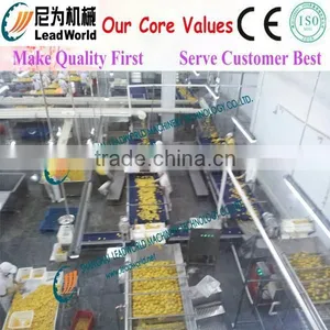 High Productive Apple Processing Line thumbnail-1