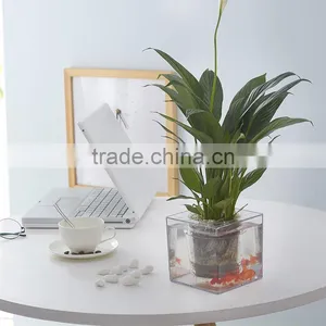 Round Clear Plastic Orchid Pot thumbnail-4