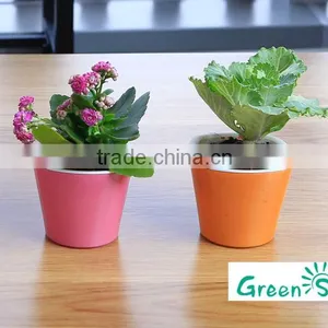 Cheap Succulent Planter Small Flower Pots thumbnail-2