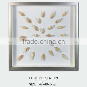 Shadow Box With Sea Snails thumbnail-1